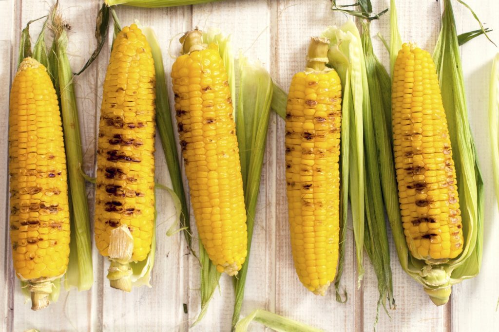 Grilled young corn from above on the white woden table