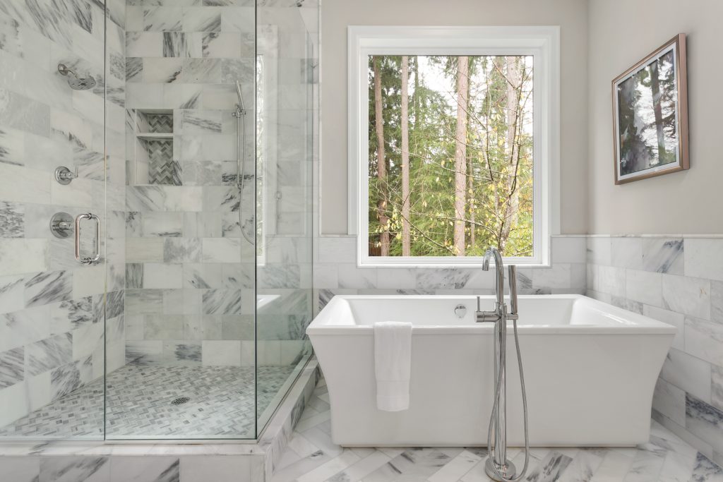 Master bathroom shower and bathtub